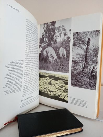 The Illustrated Library of Nature: A Pictorial Encyclopedia of Natural History and Ecology Published by H. S. Stuttman (14 Volumes)