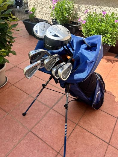 lynx golf set