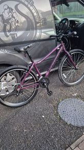 carrera Mountain bike