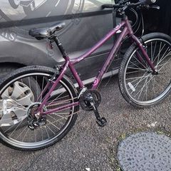 carrera Mountain bike
