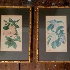 Antique pair of gold bamboo framed botanical bookplates