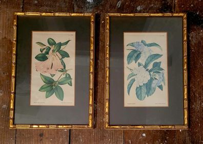 Antique pair of gold bamboo framed botanical bookplates