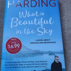 Michael Harding.   What is Beautiful in the Sky