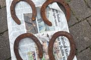 horse shoe