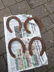 horse shoe
