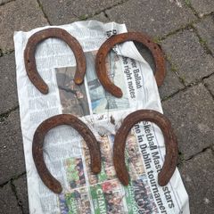 horse shoe