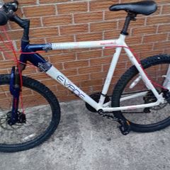 adults bike