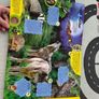 set for polish kids Image 10