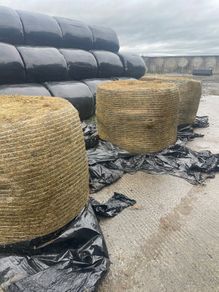 Hay For Sale