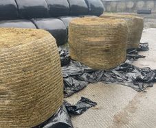 Hay For Sale