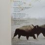 U2 Cd Image 2