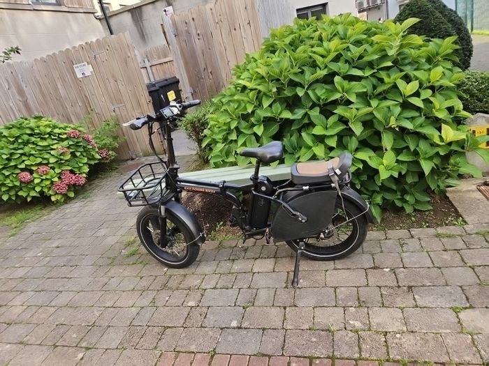 Ebikes-Rad Power