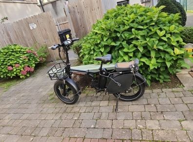 Ebikes-Rad Power