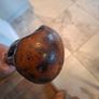 walking stick Image 6