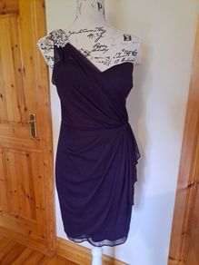 Size 10 Petite Purple One Shoulder Occasion Dress