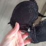 Elegant lace black set bra thongs size s 70 a Image 7