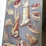 Mrs Beetons All about Cookery hardcover book Image 7