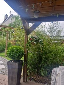 hanging Basket