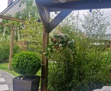 hanging Basket