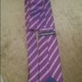 Cedarwood state tie Postage included Image 2