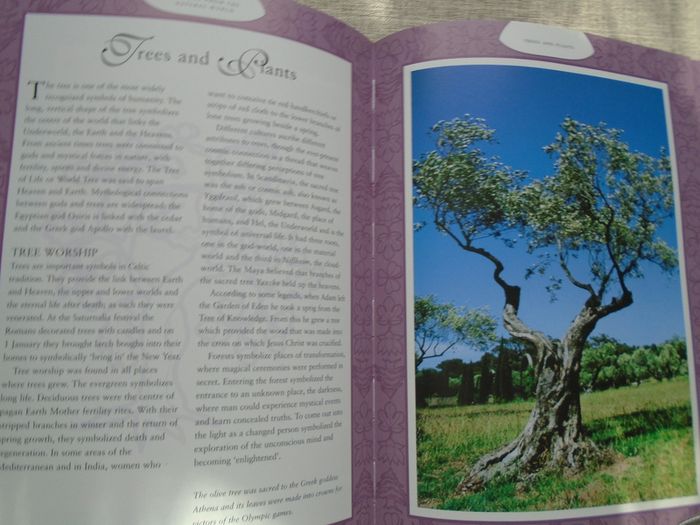 The Mystic symbols,a complete guide to magic and sacred symbols, Brenda Mallon,Hardback book, Non fiction.