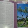 The Mystic symbols,a complete guide to magic and sacred symbols, Brenda Mallon,Hardback book, Non fiction. Image 4
