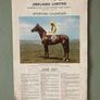 Horse racing Image 2