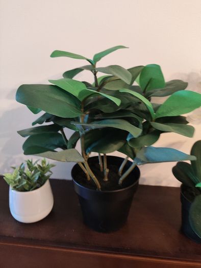 9 fake plants