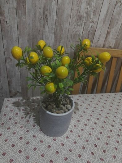 lemon plant