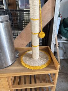 cat scratching post
