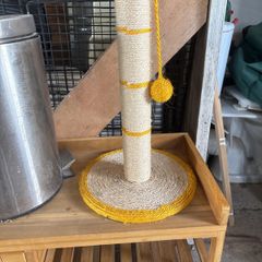 cat scratching post
