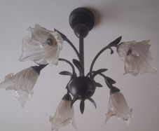 Ceiling light- chandelier