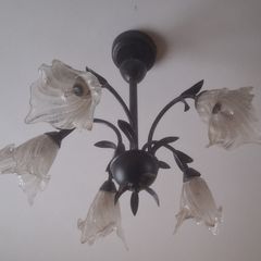 Ceiling light- chandelier