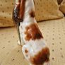 Royal Doulton Cocker Spaniel Image 4