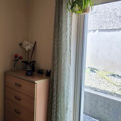 Green curtain