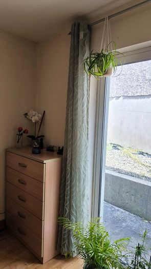 Green curtain