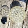 Glass Flower Frogs Image 6