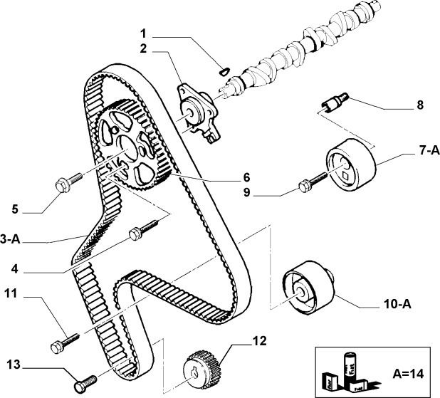 Timing Belt (Fiat Scudo)