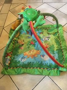 Baby toy:  fisher price rainforest music & lights
