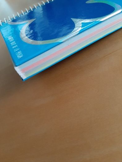 Mini spiral notebook