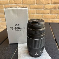 Canon EF 75-300mm f/4-5.6 III