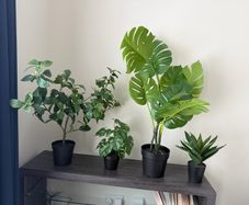 artificial plants