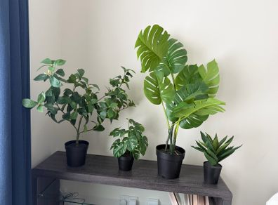 artificial plants