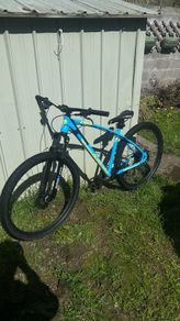 Collective C100 V3 wheelie Bike