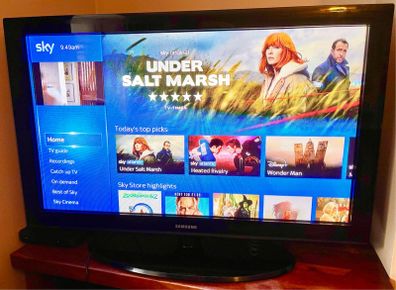 Samsung 42" Plasma TV (Reduced To Sell)
