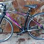 Giant Racer Ladies Image 10