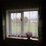Curtains  Canvas Picture and Lamp Shade Image 3