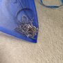 Mystery jewellery bag. Image 2