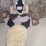 Vintage The Puppet Company Wolf Teddy Soft Toy Plush Plushie Image 9
