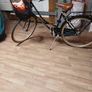 Ladies bike Image 3